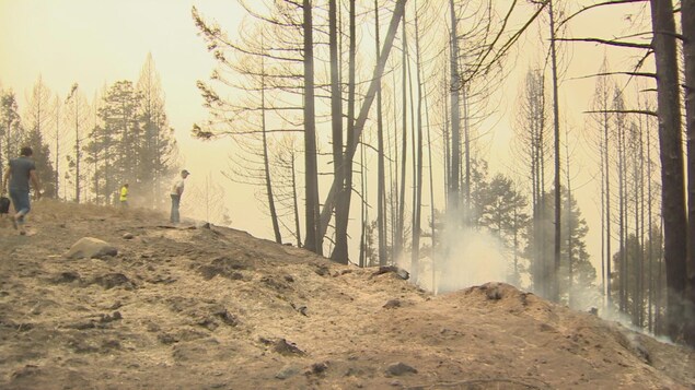 Un feu de forêt a forcé l’évacuation de milliers de personnes dans le secteur de 100 Mile House, en Colombie-Britannique, dimanche. Un feu de forêt a forcé l’évacuation de milliers de personnes dans le secteur de 100 Mile House, en Colombie-Britannique, dimanche.
