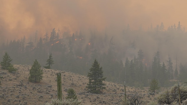 C.-B. : des vents forts pourraient provoquer de nouveaux départs de feu