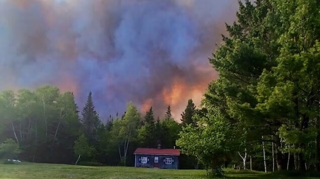 Des flammes dans un secteur boisé derrière une petite maison.