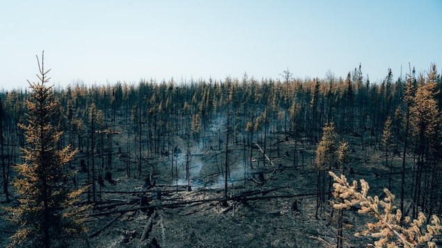 Les feux de forêt menacent les pourvoiries au Québec