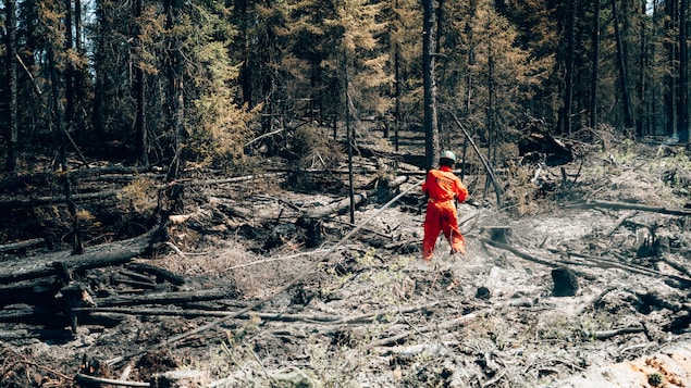 A firefighter works near Chapais, in northern Quebec, on Friday June 2, 2023 in this image provided by the fire prevention agency known as SOPFEU. (Audrey Marcoux/The Canadian Press/HO-SOPFEU Prevention and Communications)
