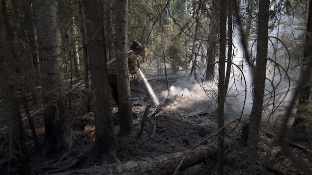 Un pompier éteint un foyer d'incendie dans une forêt.