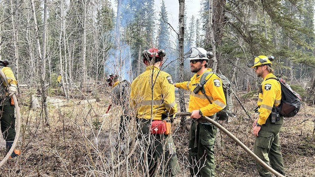 Des pompiers d’Alberta Wildfire s'entraînent dans une forêt à Hinton en Alberta pour combattre les feux (avril 2024).