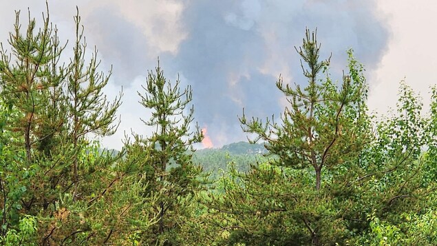 Feux de forêt : il est encore trop tôt pour réintégrer Lebel-sur-Quévillon