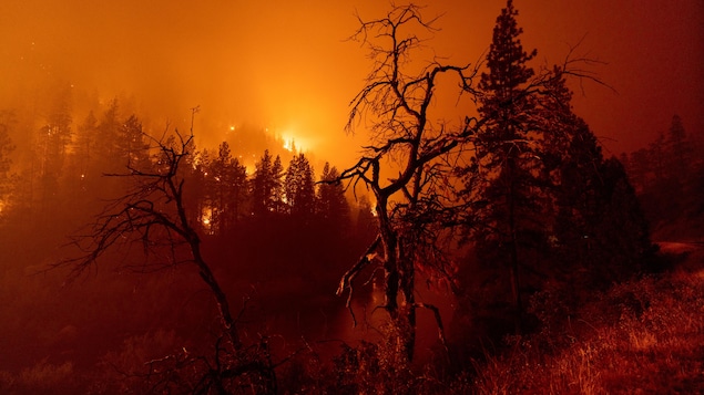 Le plus vaste incendie de l’année en Californie fait deux morts