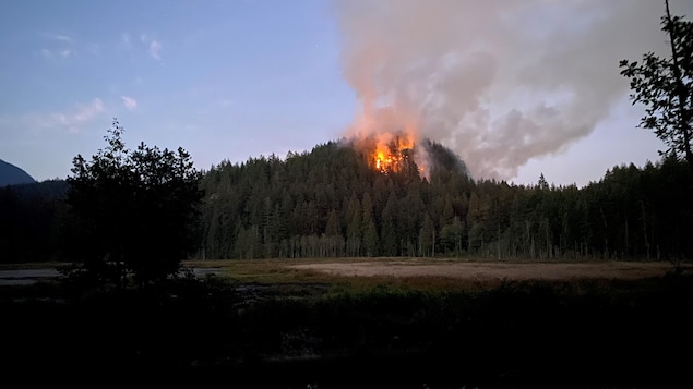 Les pompiers combattent un feu de forêt dans le parc Minnekhada, dans le Grand Vancouver