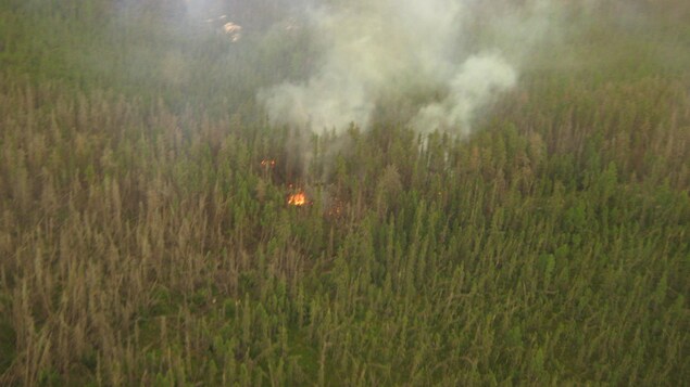 Des flammes aperçues du haut des airs dans une forêt. Des flammes aperçues du haut des airs dans une forêt.