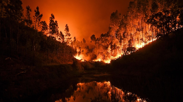 L'image saisissante d'un feu de forêt près de Tojeira, dans le centre du Portugal