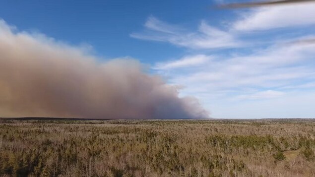 Un important feu de forêt est déclaré à l’est de Yarmouth