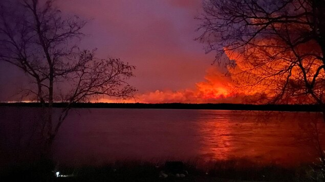 Un feu et de la fumée au loin dans la forêt.