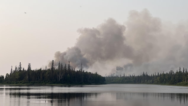 Une aide de 50 millions $ pour les entreprises touchées par les feux de forêt