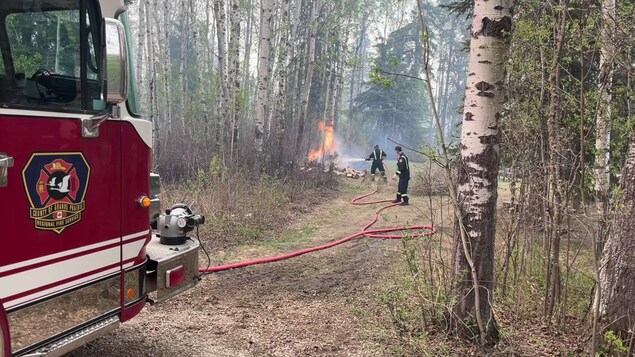 L’Alberta ferme des parcs pour limiter la croissance du nombre de feux