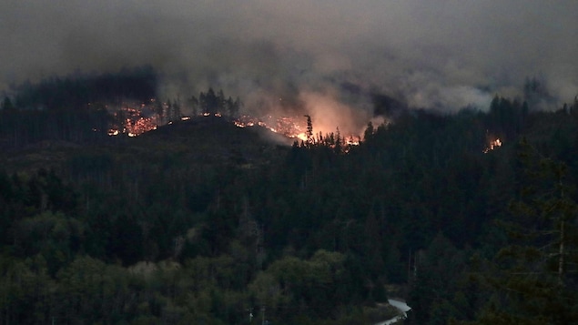 A wildfire blazing through a forest ridge.