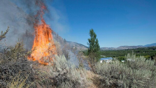 Des broussailles prennent feu dans une vallée. Des broussailles prennent feu dans une vallée.