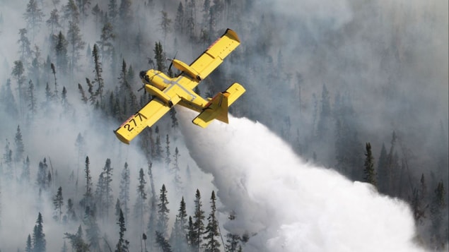 Un avion deverse de l'eau sur une forêt en feu.