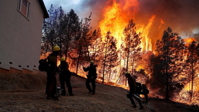 Des pompiers devant un mur de feu à Paradise. Des pompiers devant un mur de feu à Paradise.