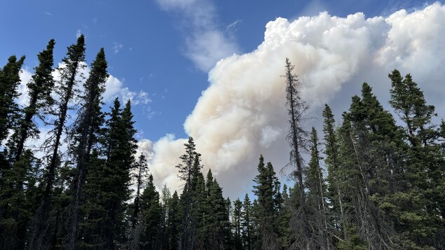 Propagation Du Feu 172 Certains Quartiers De Sept Îles Sont évacués Les Communautés