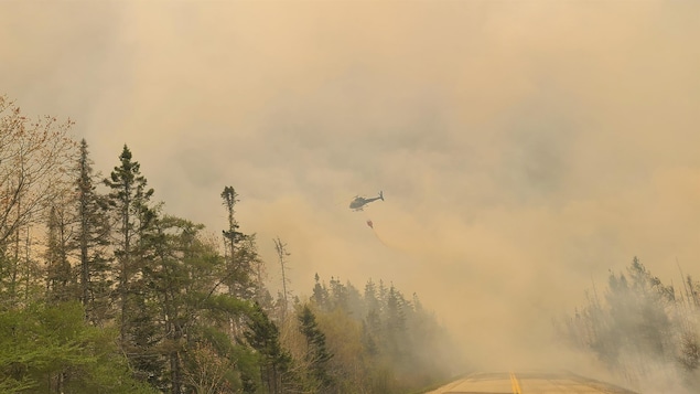 Un hélicoptère arrose le feu de forêt. 