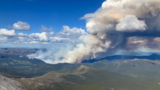 Un incendie de forêt brûle et crée d'énormes colonnes de fumées.