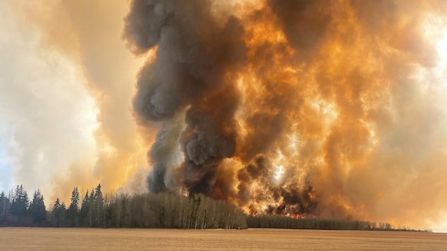Des pétrolières interrompent leur production sur certains sites à cause des feux