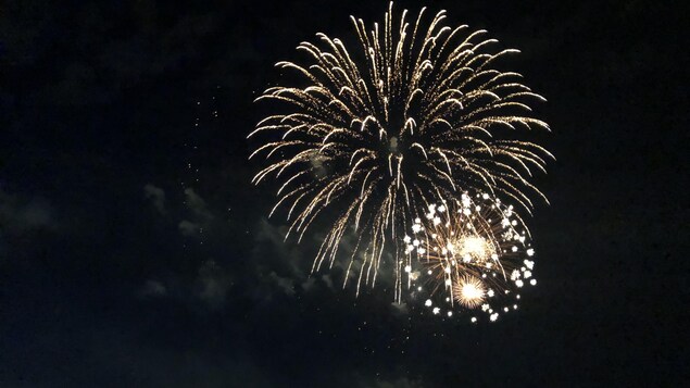 Des feux d'artifice dans un ciel noir.