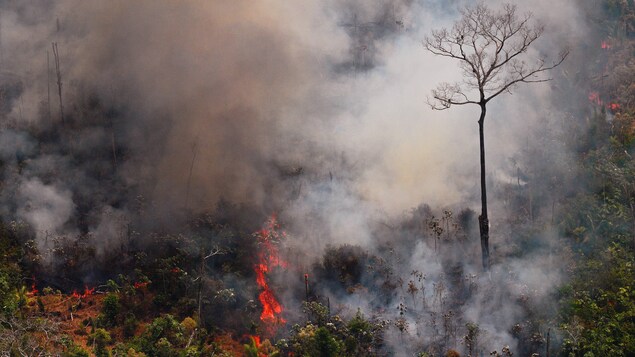Photo aérienne montrant un incendie faisant rage dans la forêt amazonienne à environ 65 km de Porto Velho, dans l'état de Rondonia, au nord du Brésil, le 23 août 2019.