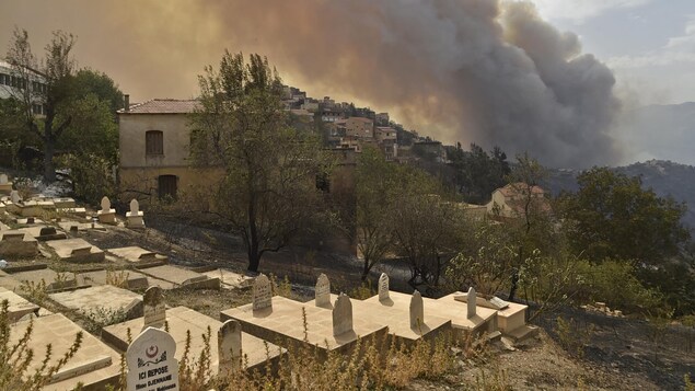 Lutte contre la course folle d'incendies meurtriers en Algérie - Vimarsana News