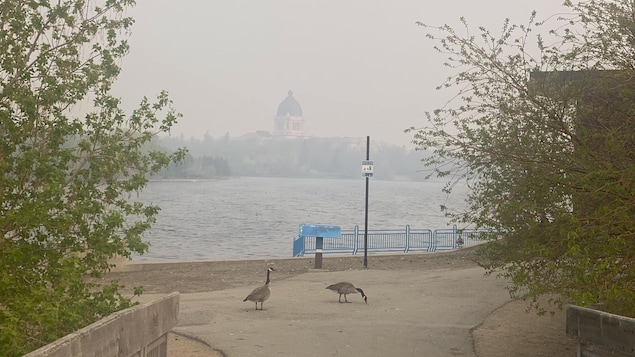 Le Palais législatif de Regina, en Saskatchewan, dans un brouillard de fumée en raison des feux de forêt.