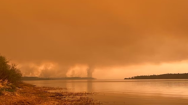 Les émissions dues aux feux de forêt ont atteint un nouveau sommet en 2021