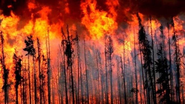 Des flammes attaquent une forêt en Colombie-Britannique Des flammes attaquent une forêt en Colombie-Britannique