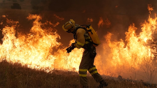 Incendies non maîtrisés en France et en Espagne : plus de 270 000 évacuations