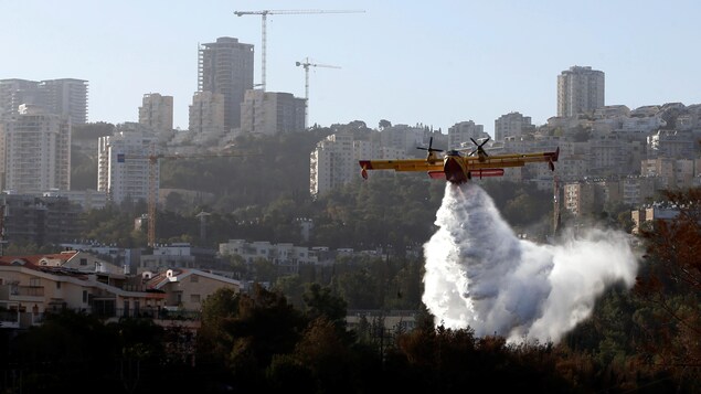 Un avion-citerne lâche un produit retardateur de flammes dans la région de Haïfa, où habitent environ un demi-million de personnes.