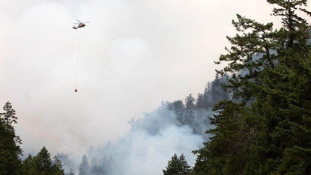 A chopper carrying a water bucket over a forest covered in smoke from a wildfire nearby.