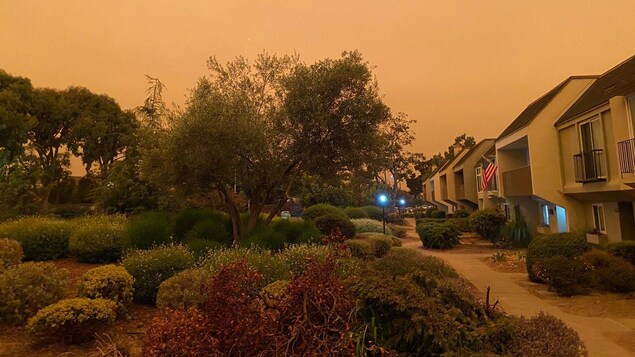 Des maisons et leurs jardins sous un ciel voilé qui donne une couleur orangée à l'air.