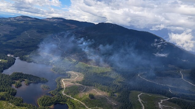 The Newcastle Creek fire.