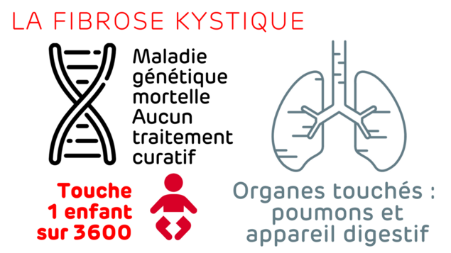 Maladie génétique mortelle avec aucun traitement curatif. Les organes touchés sont les poumons et l'appareil digestif. Elle touche un enfant sur 3600.