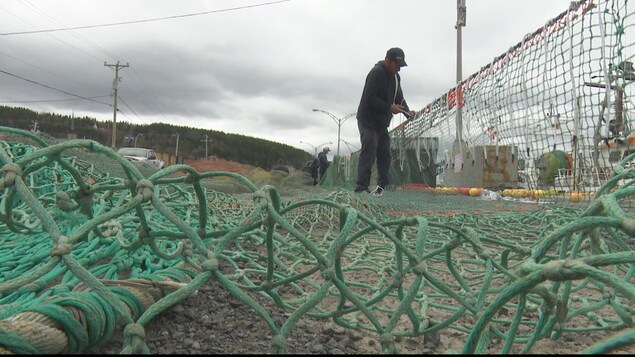 Un filet de pêche. Un filet de pêche.