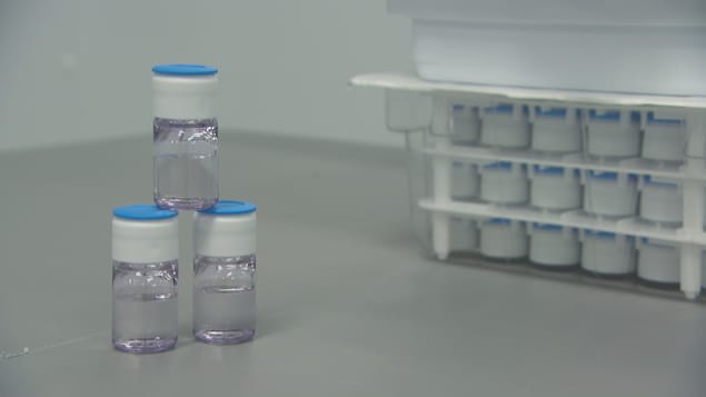 Des fioles de vaccin
