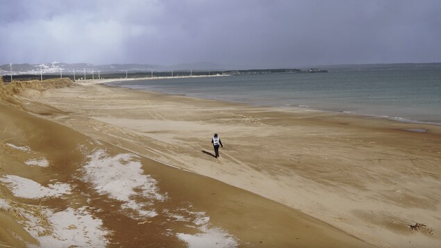 Photo d'une plage.