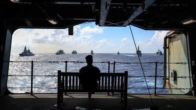 A ship's company member of HMS Queen Elizabeth overlooks the group formation of ships (left to right): HMS Defender, RFA Tidespring, RFA Fort Victoria, HNLMS Evertsen, JS Kirishima, HMNZS Te Kaha and USS Shiloh on October 3, 2021. (UK Ministry of Defence)