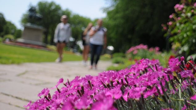 Des activités gratuites en juillet dans la grande région de Québec