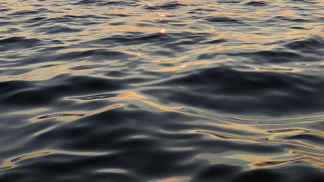 Des chercheurs se penchent sur les nanoplastiques dans le fleuve Saint-Laurent