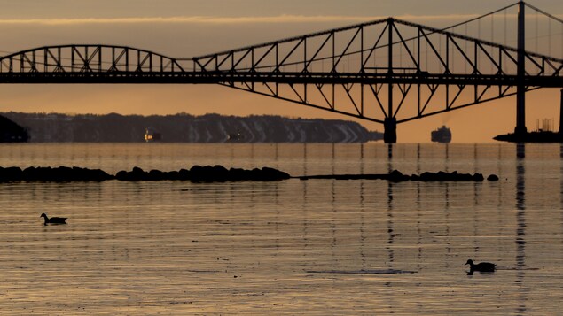 Pont de Québec : le moment d’améliorer le transport collectif, plaident des acteurs locaux