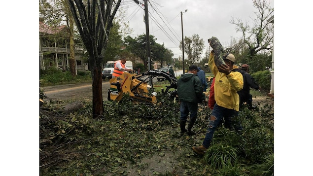 Des hommes ramassant des morceaux de branches tombés sur la chaussée. Des hommes ramassant des morceaux de branches tombés sur la chaussée.