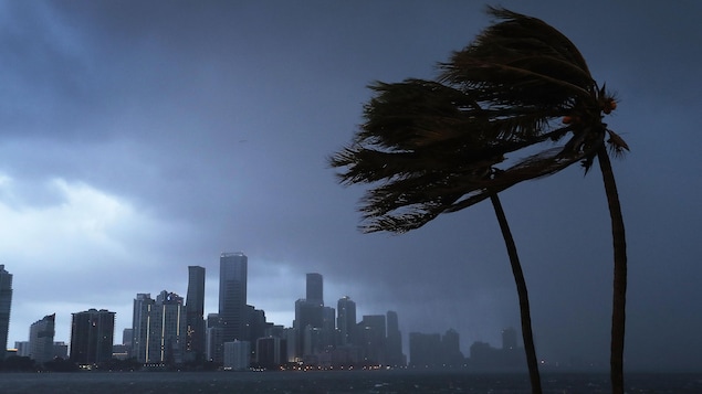 Des palmiers penchent sous la force du vent, et des nuages sombres surplombent la ville de Miami.