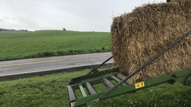 Récolte des foins : un rendement exceptionnel au Saguenay-Lac-Saint-Jean