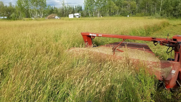 Les agriculteurs du Nord-Ouest reçoivent une aide financière d’urgence