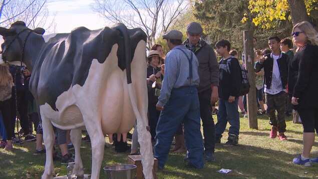 Une activité de la Société historique de la Saskatchewan sur le site historique Homestead Motherwell, lors de la Journée du Patrimoine, en 2016. Une vache et un fermier portant des bretelles se trouvent au milieu d'une foule de gens.