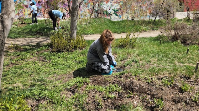 Une adolescente plante des semences dans un jardin communautaire à Regina.