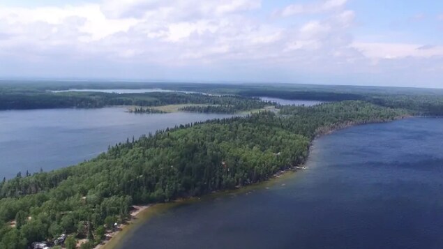 Des lacs et une forêt